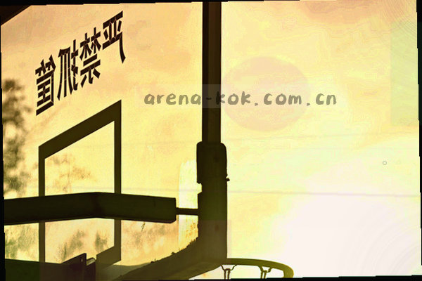 球迷们举着围巾欢呼的剪影